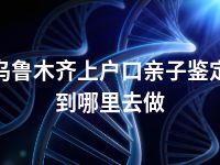 乌鲁木齐上户口亲子鉴定到哪里去做