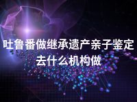 吐鲁番做继承遗产亲子鉴定去什么机构做