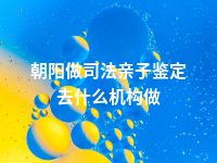 朝阳做司法亲子鉴定去什么机构做