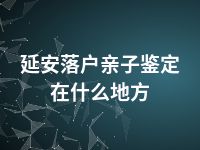 延安落户亲子鉴定在什么地方