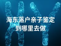 海东落户亲子鉴定到哪里去做