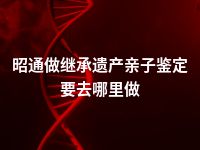 昭通做继承遗产亲子鉴定要去哪里做