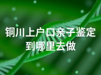 铜川上户口亲子鉴定到哪里去做