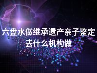 六盘水做继承遗产亲子鉴定去什么机构做