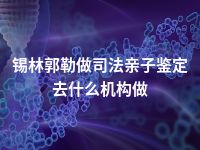 锡林郭勒做司法亲子鉴定去什么机构做