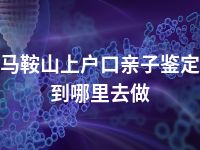 马鞍山上户口亲子鉴定到哪里去做