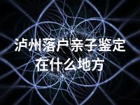 泸州落户亲子鉴定在什么地方