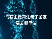 马鞍山做司法亲子鉴定要去哪里做