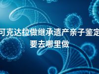 可克达拉做继承遗产亲子鉴定要去哪里做