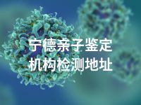 宁德亲子鉴定机构检测地址