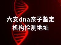 六安dna亲子鉴定机构检测地址