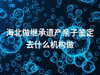 海北做继承遗产亲子鉴定去什么机构做