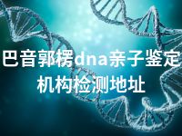 巴音郭楞dna亲子鉴定机构检测地址