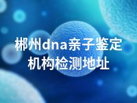 郴州dna亲子鉴定机构检测地址