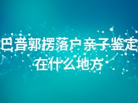 巴音郭楞落户亲子鉴定在什么地方