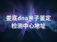 娄底dna亲子鉴定检测中心地址