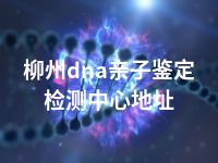 柳州dna亲子鉴定检测中心地址