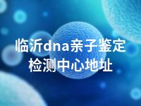 临沂dna亲子鉴定检测中心地址