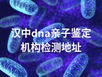 汉中dna亲子鉴定机构检测地址