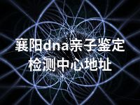 襄阳dna亲子鉴定检测中心地址