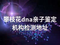 攀枝花dna亲子鉴定机构检测地址