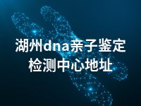 湖州dna亲子鉴定检测中心地址