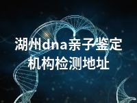 湖州dna亲子鉴定机构检测地址