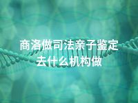 商洛做司法亲子鉴定去什么机构做