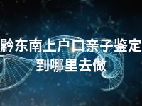 黔东南上户口亲子鉴定到哪里去做