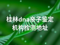 桂林dna亲子鉴定机构检测地址