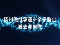 扬州做继承遗产亲子鉴定要去哪里做