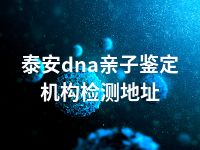 泰安dna亲子鉴定机构检测地址