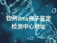 钦州dna亲子鉴定检测中心地址