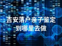 吉安落户亲子鉴定到哪里去做