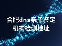 合肥dna亲子鉴定机构检测地址