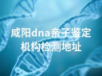 咸阳dna亲子鉴定机构检测地址