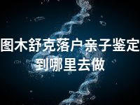 图木舒克落户亲子鉴定到哪里去做