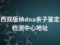 西双版纳dna亲子鉴定检测中心地址