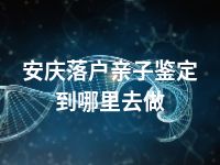 安庆落户亲子鉴定到哪里去做