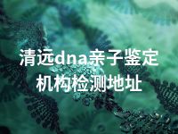 清远dna亲子鉴定机构检测地址