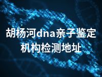 胡杨河dna亲子鉴定机构检测地址