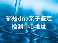 鄂州dna亲子鉴定检测中心地址