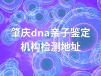 肇庆dna亲子鉴定机构检测地址