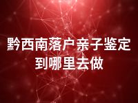 黔西南落户亲子鉴定到哪里去做