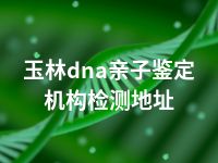 玉林dna亲子鉴定机构检测地址