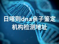 日喀则dna亲子鉴定机构检测地址