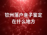 钦州落户亲子鉴定在什么地方