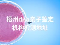 梧州dna亲子鉴定机构检测地址