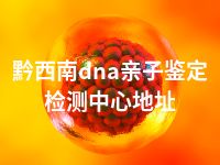 黔西南dna亲子鉴定检测中心地址