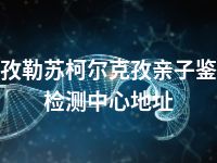 克孜勒苏柯尔克孜亲子鉴定检测中心地址